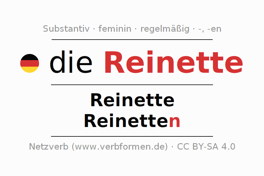 Deklination Alle Fälle des Substantivs, Plural und Artikel