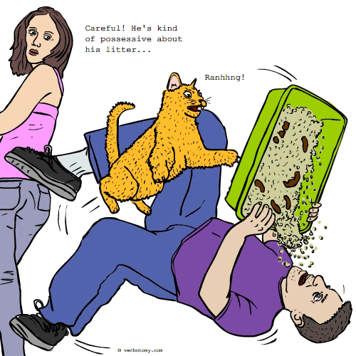 Verbotomy! The creative word challenge