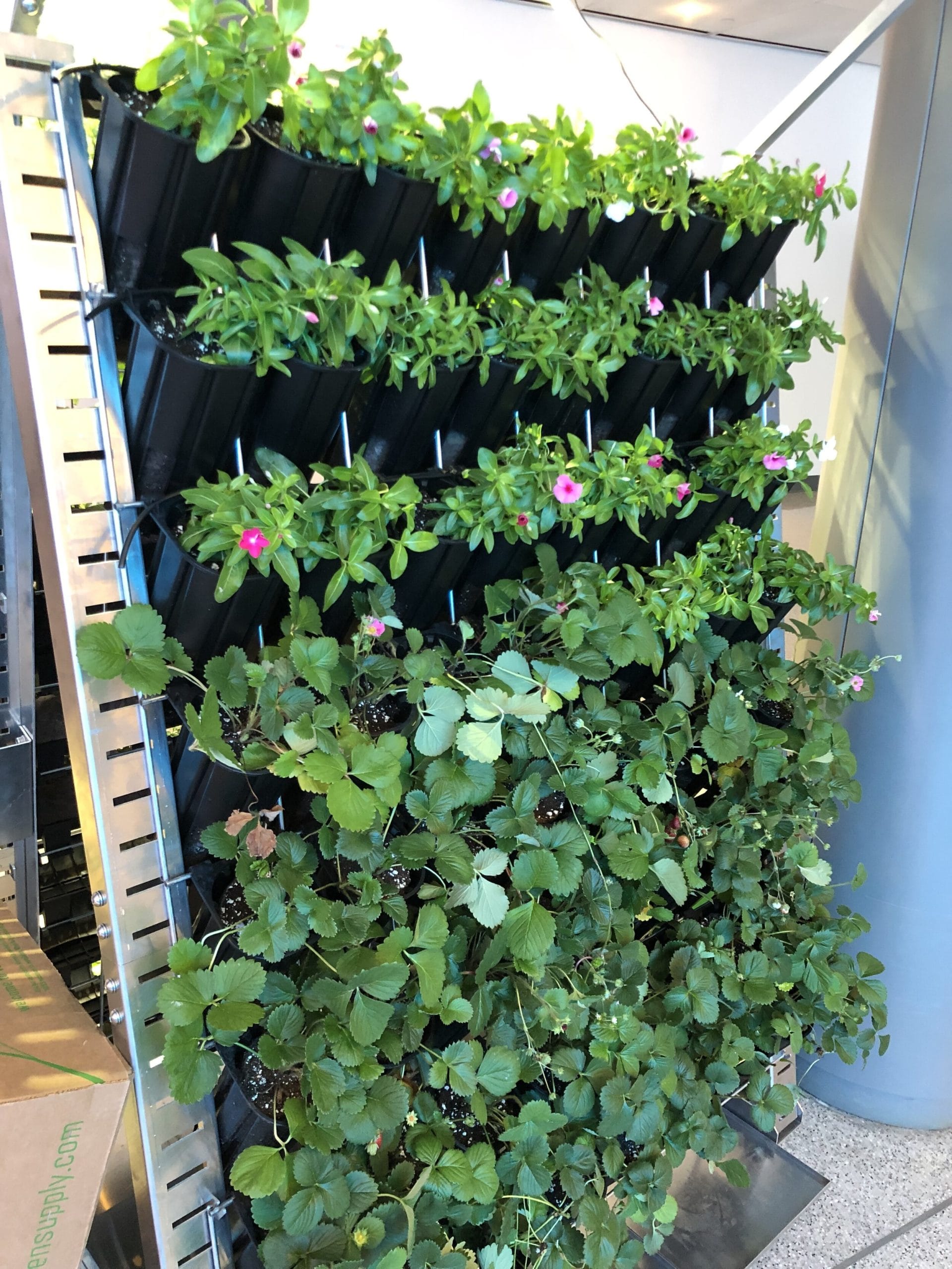 Gardening Racks and Stands Archives Vertical Garden Supply