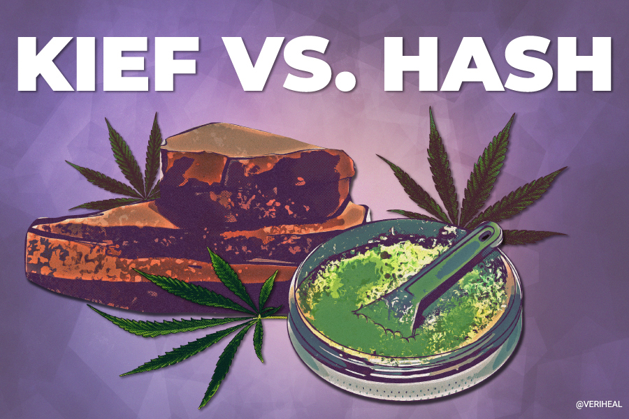 Kief vs. Hash Understanding Cannabis Concentrates
