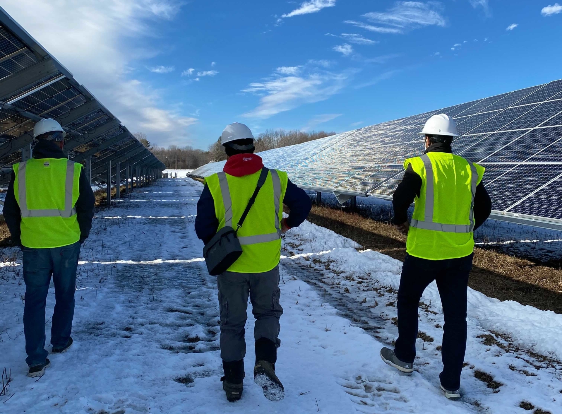 Meet Our Team of Solar Energy Experts Verogy