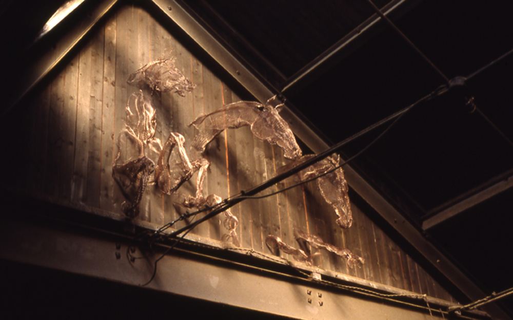 ceiling horses Veronica Verkley
