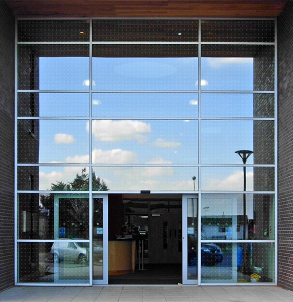 Bird Friendly Glass in Woodbridge, Vaughan, Aurora & Richmond Hill