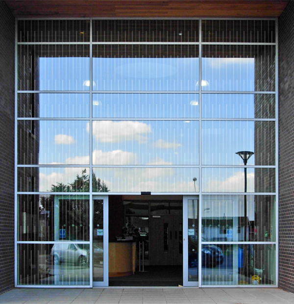 Bird Friendly Glass in Woodbridge, Vaughan, Aurora & Richmond Hill