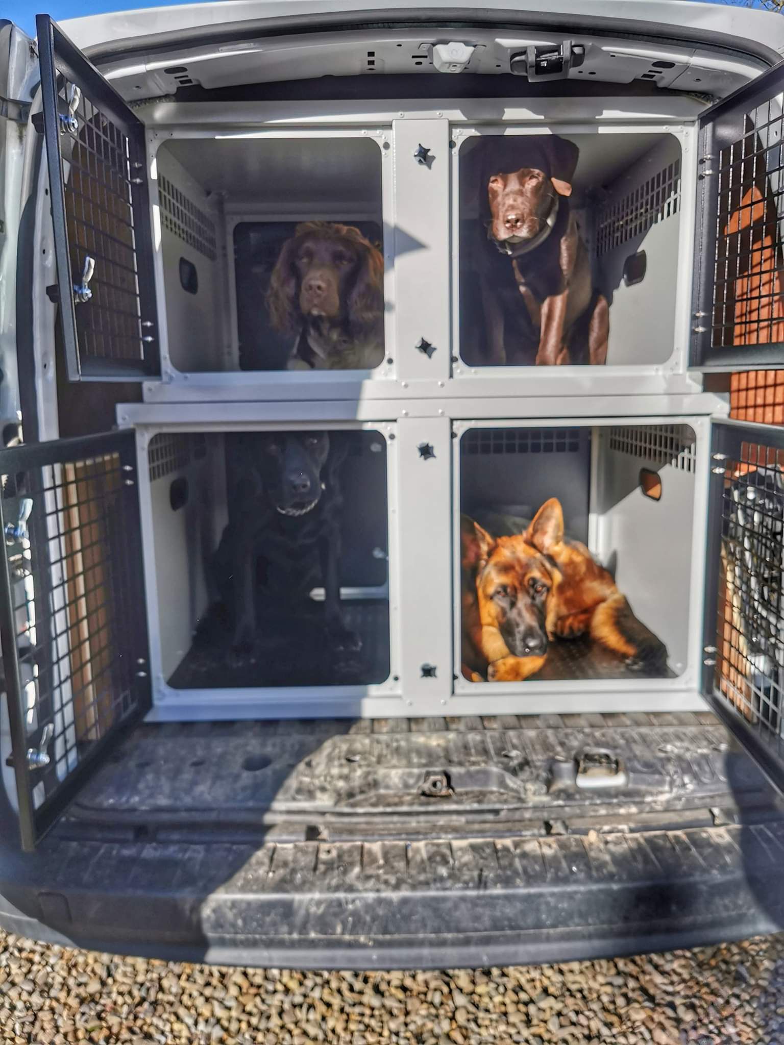 Dog Walker Van Conversions Dog Cages for Dog Walking Warrington