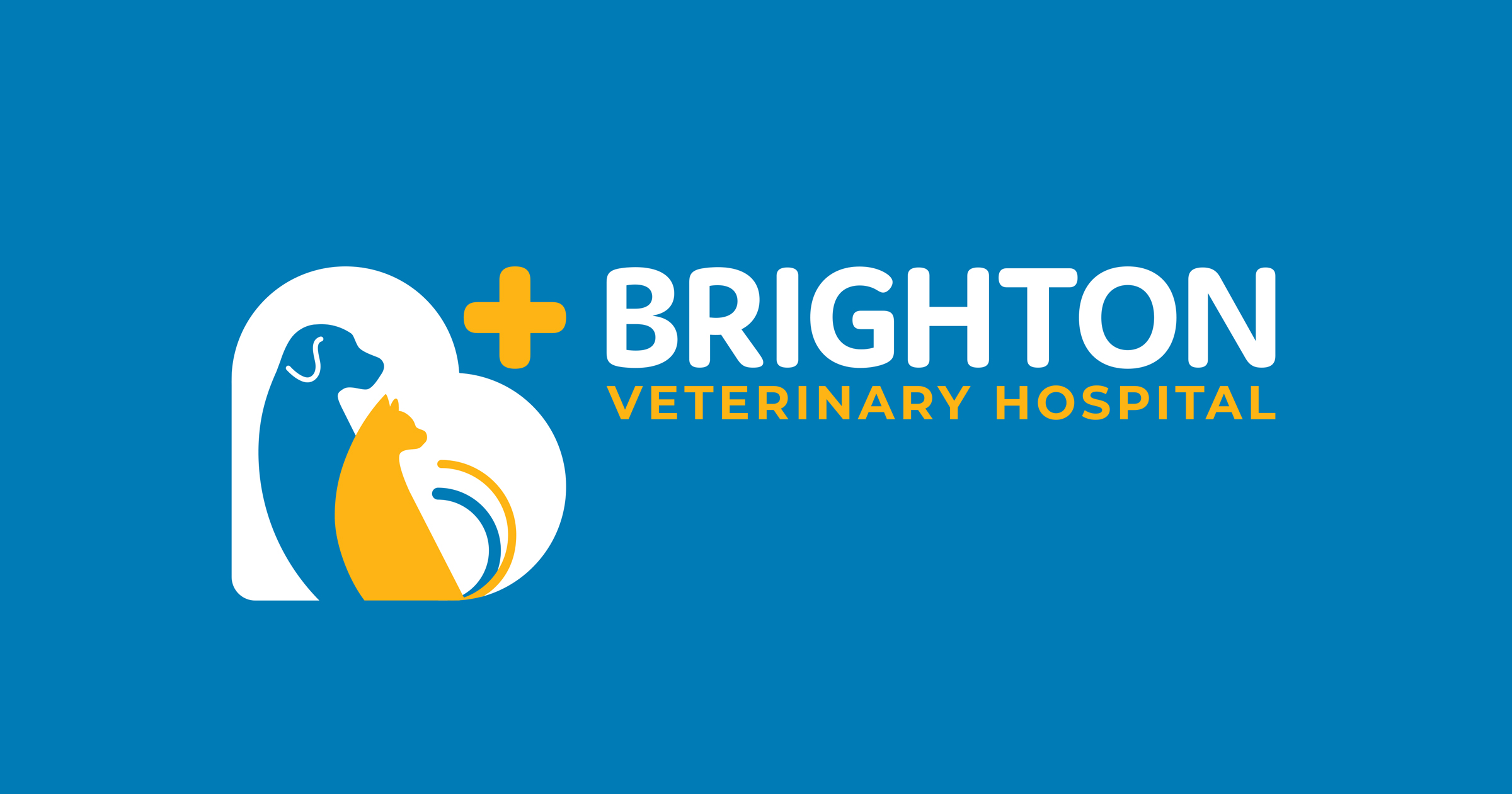 Brighton Veterinary Hospital VERSION Design