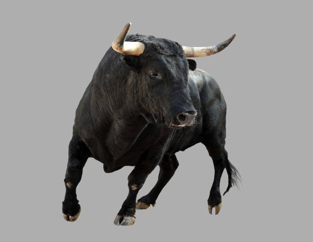 …for the black ox has trod upon my foot, my dear friend