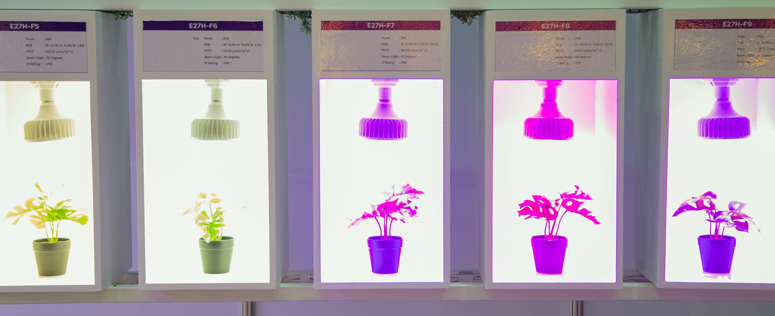 The influence of different light wavelengths on plant growth ⋆ VERTIKIT