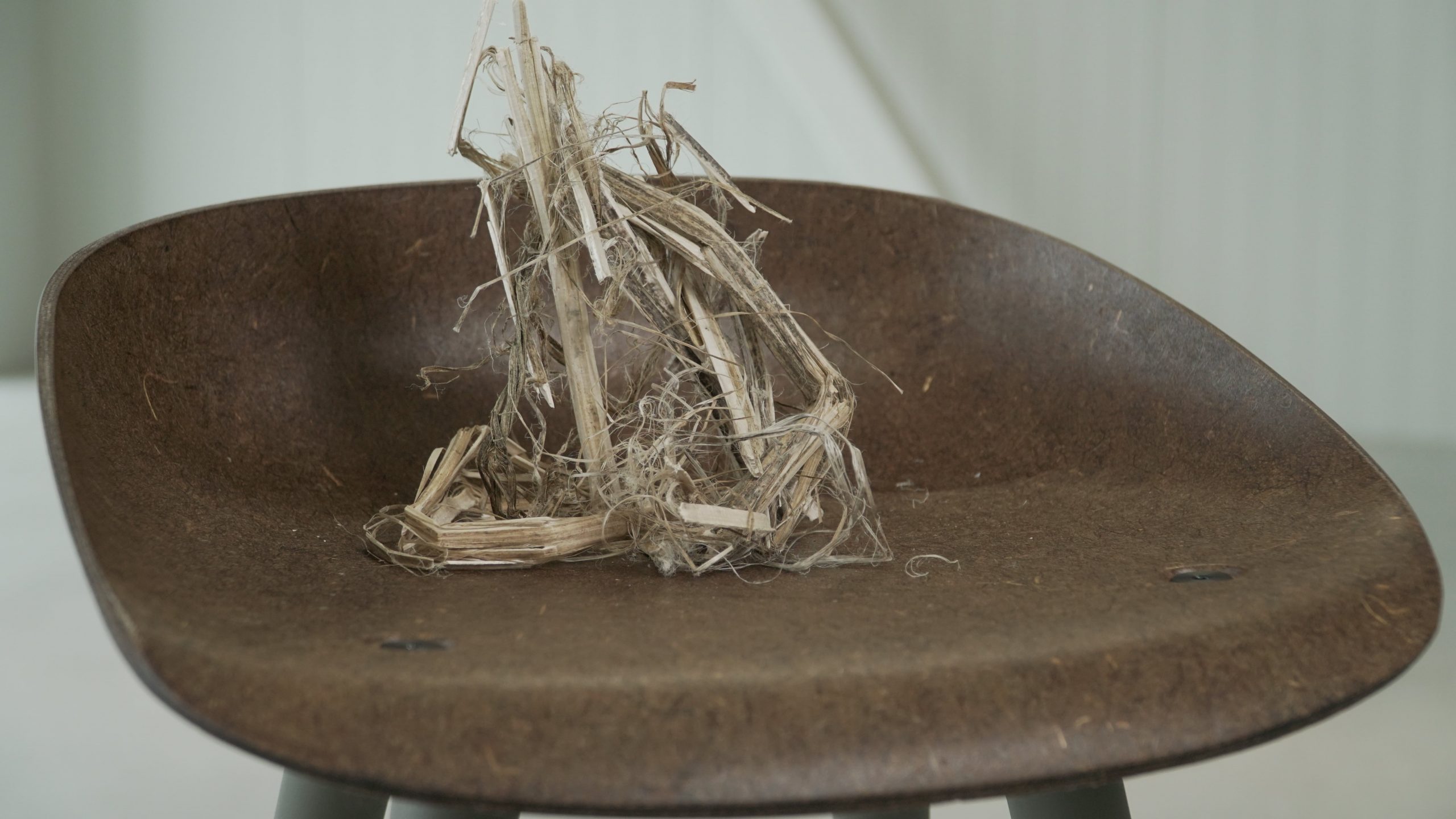 World's First 100 BioBased Thermosetting Resin.