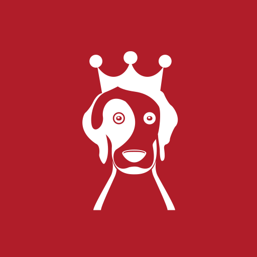 Why Do Dogs Bark When The Doorbell Rings