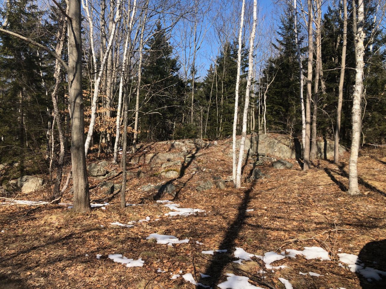 Peaks Island, Maine Vacation real estate for sale Build your year