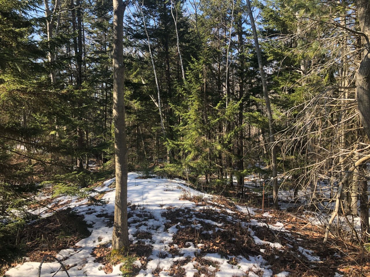 Peak Island Maine Real Estate at Jeffrey Barnaby blog