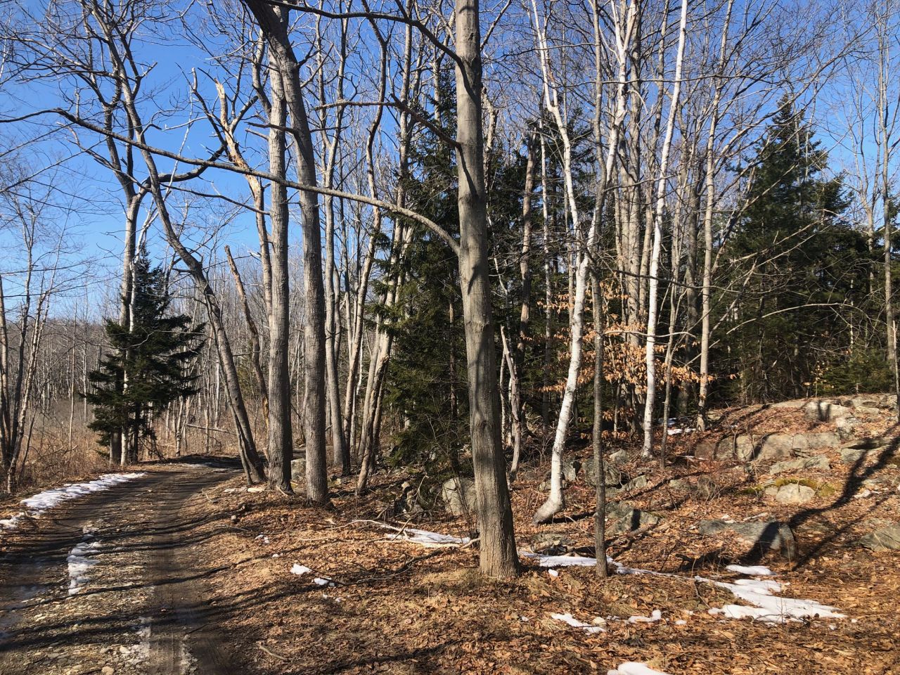 Peaks Island, Maine Vacation real estate for sale Build your year