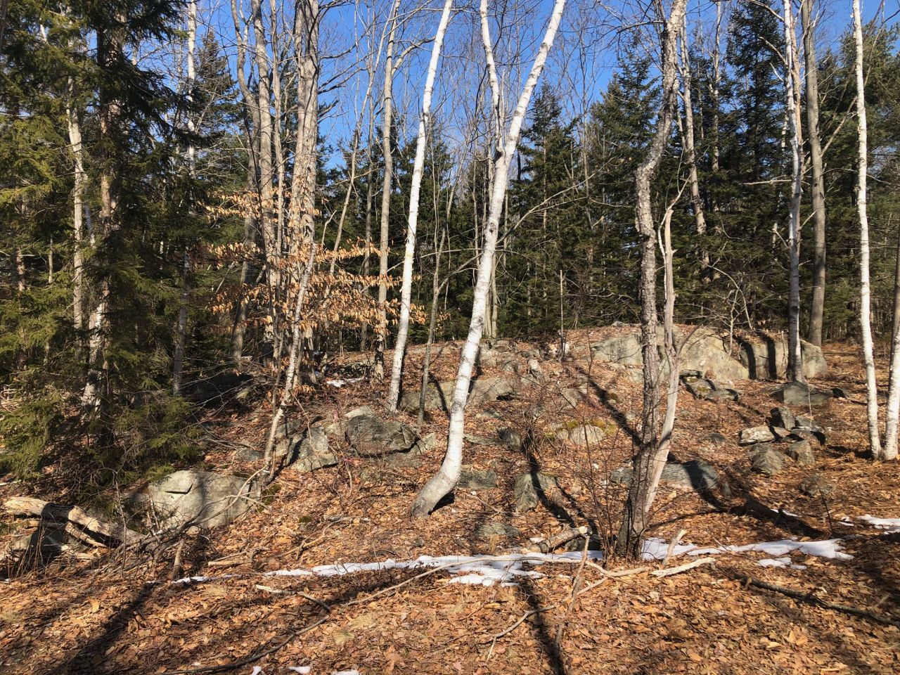 Peaks Island, Maine Vacation real estate for sale Build your year