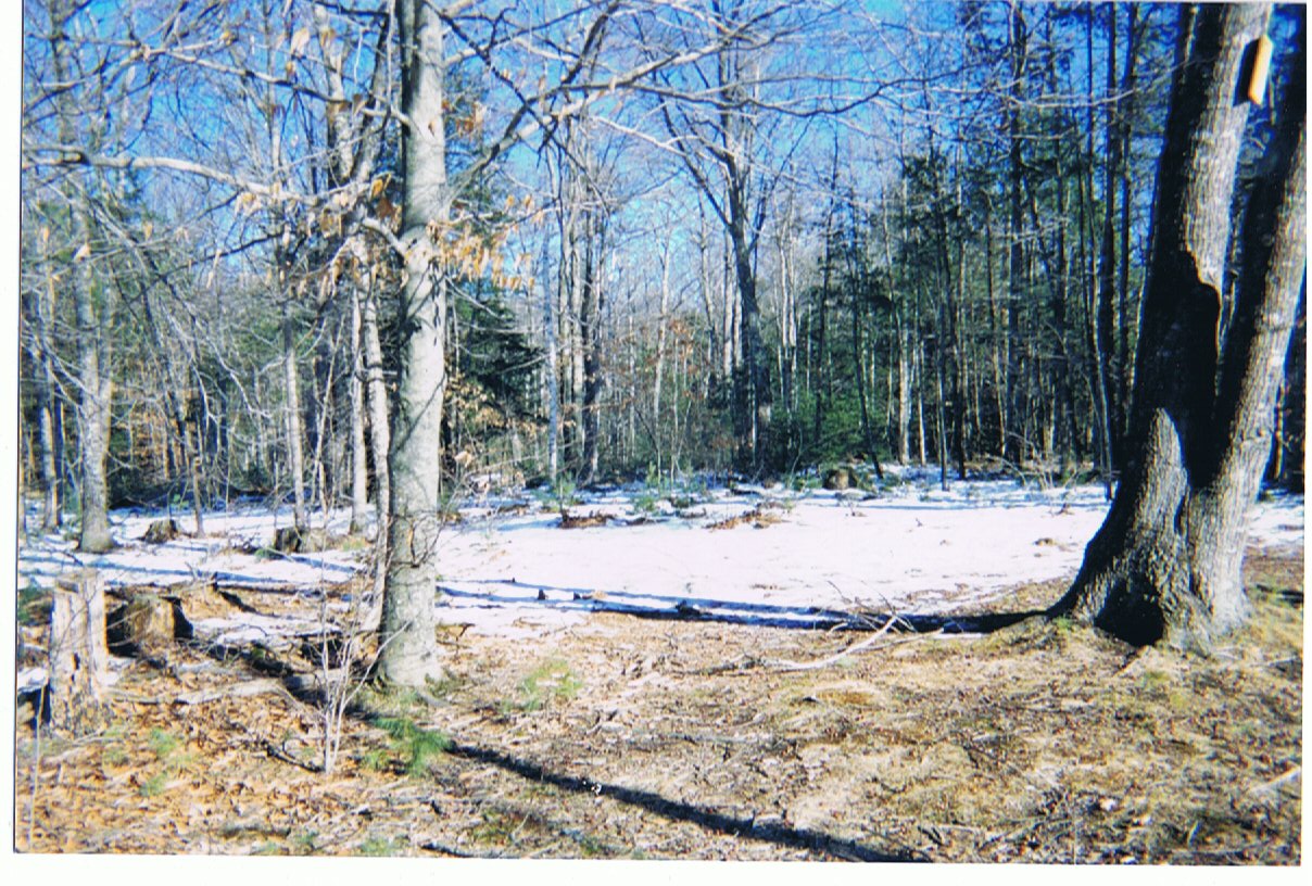 301 Moved Permanently