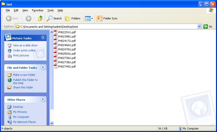 Convert Raster to Vector in Batch