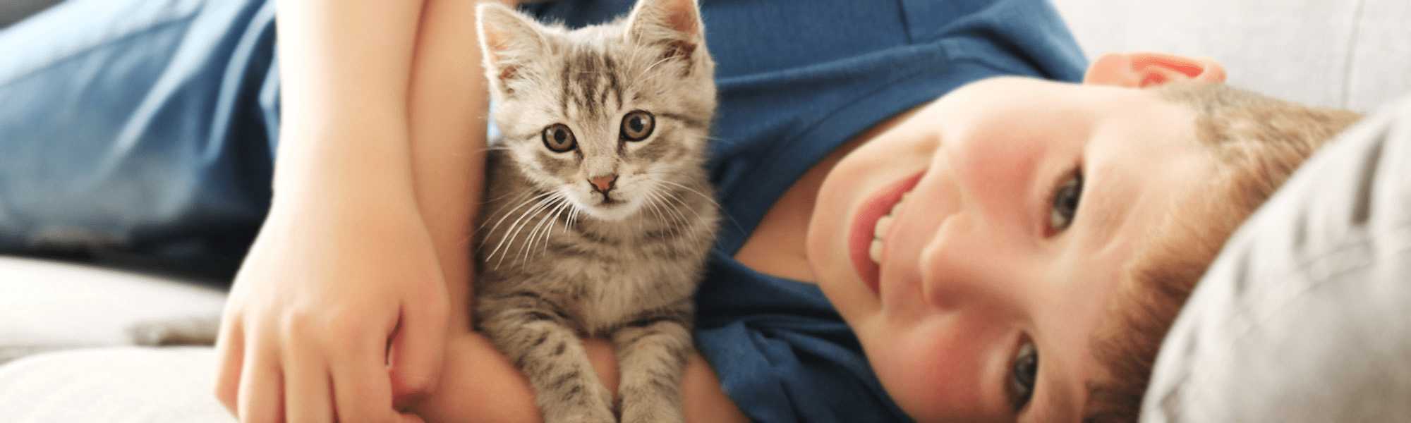 Veterinary Eye Specialists PLLC Thornwood, Westchester, New York