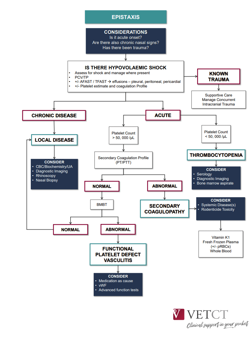 Curious Cases What are your top differentials for epistaxis?