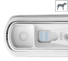 Test SNAP® Cortisol – Vet Solutions Inc.