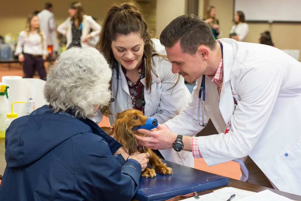Years of compassionate veterinary care inspire a scholarship for