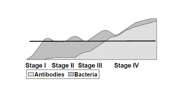 Johne’s Disease in Cattle Article 1 Cornell University College of Veterinary Medicine