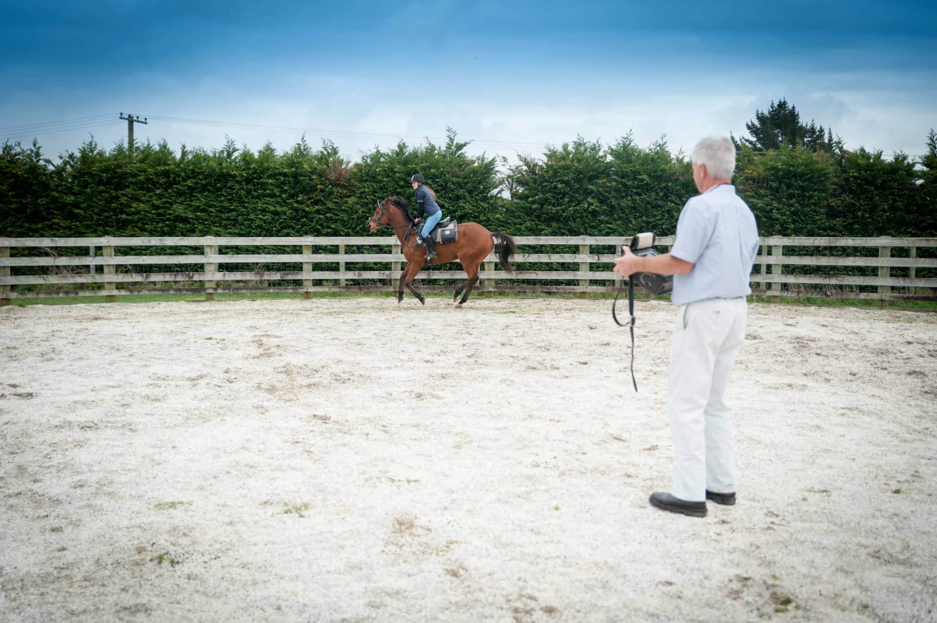 Dynamic Scoping Veterinary Associates Equine