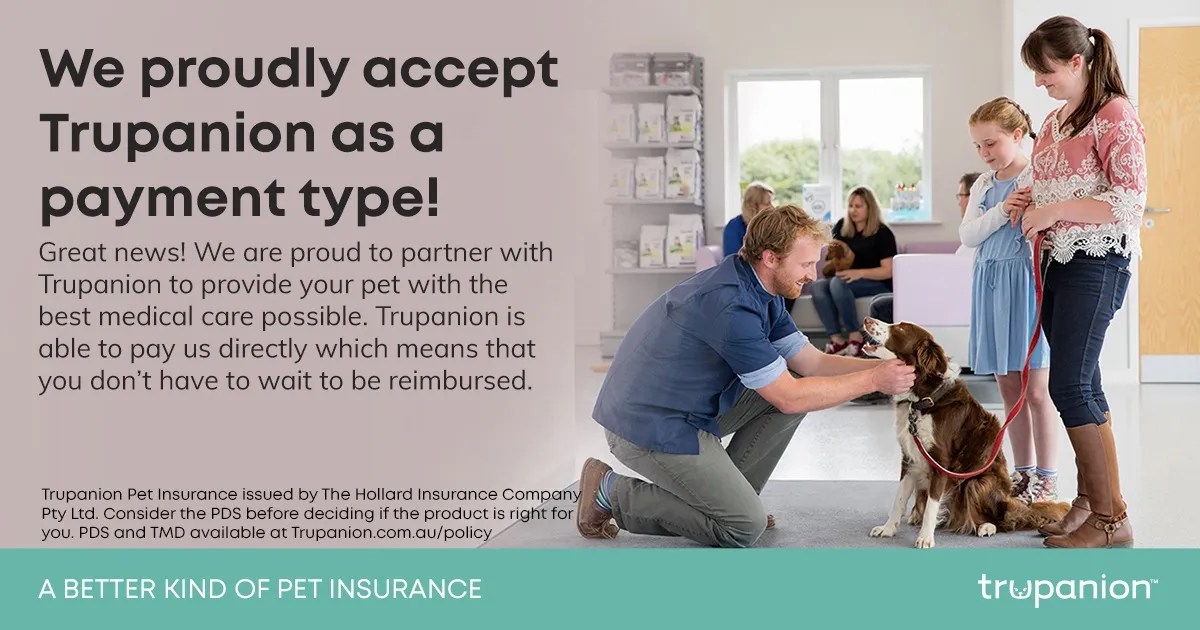 Pet Insurance Vet Central