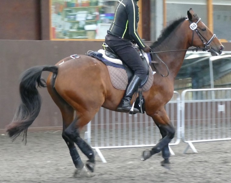 Latest knowledge shared to help improve welfare and performance of