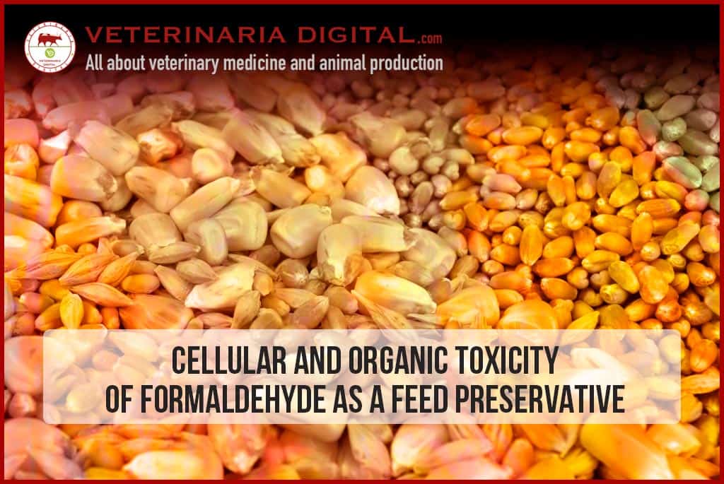 Cellular and organic toxicity of formaldehyde as a feed preservative