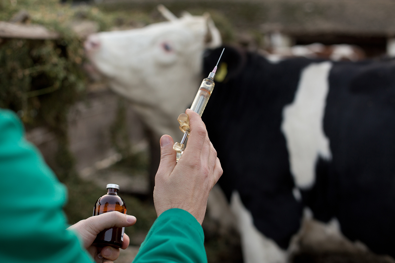 Preventing anthelmintic resistance in cattle Veterinary Practice