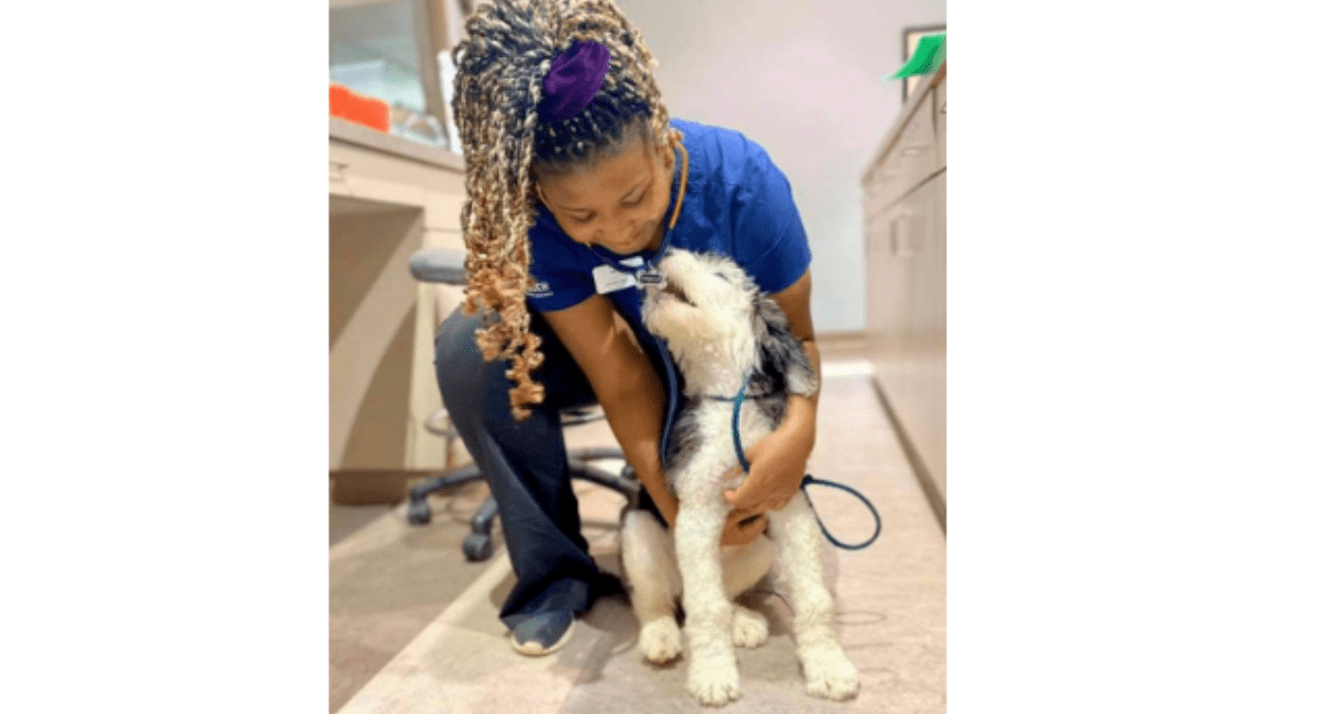 NAVC hosts second annual summit for veterinary nurses and technicians