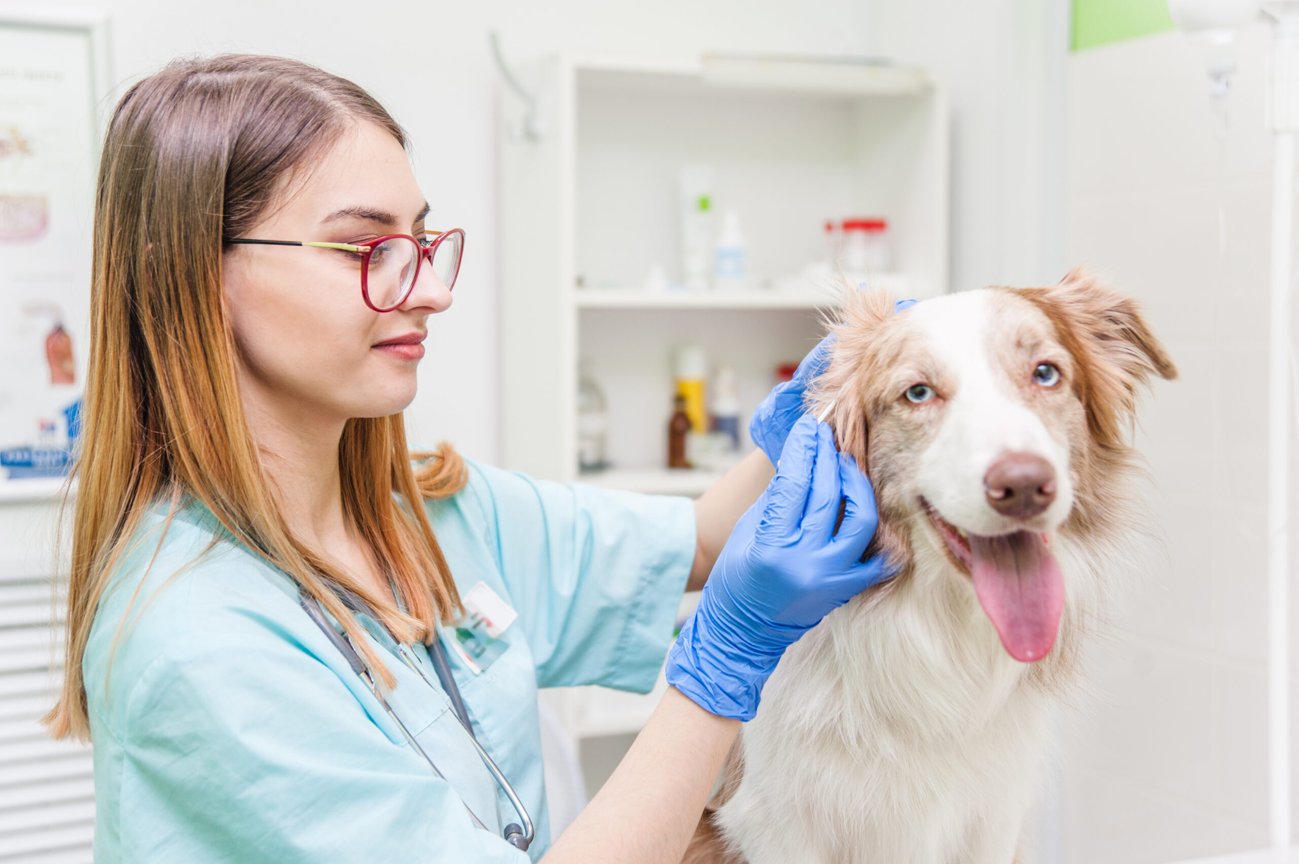 Ceva launches new skin and ear cytology online course Veterinary Practice