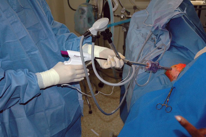 How the LaparoscopicAssisted Spay Evolved Veterinary Practice News