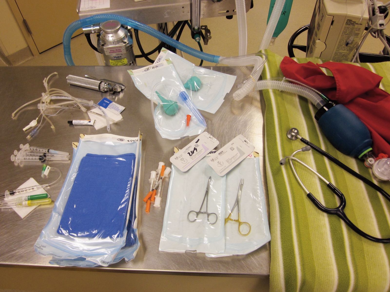 Pet CSection Checklist Veterinary Practice News