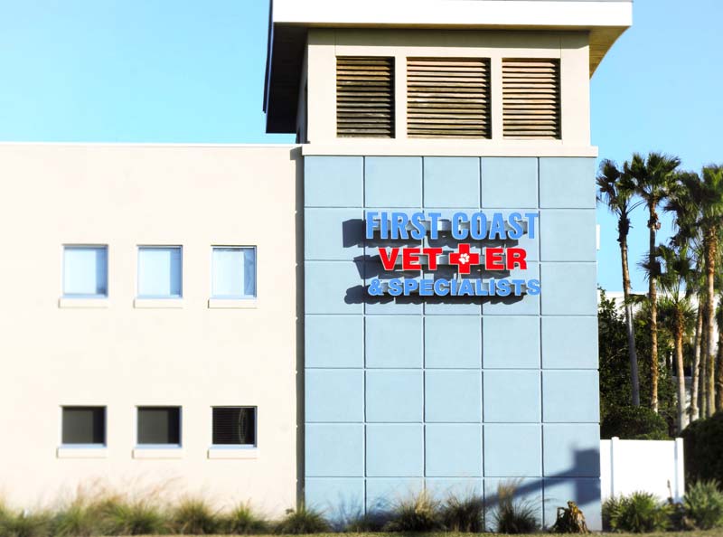 Three Florida clinics join CompassionFirst Veterinary Practice News