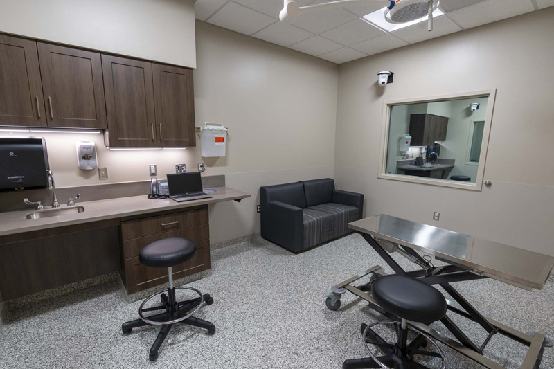 Improving access to care goal of new teaching hospital Veterinary