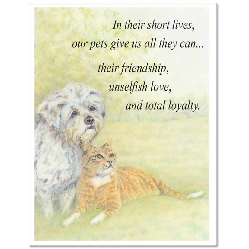 dog sympathy card messages S10 Fixed-Message Pet Sympathy Card - Veterinary Wisdom