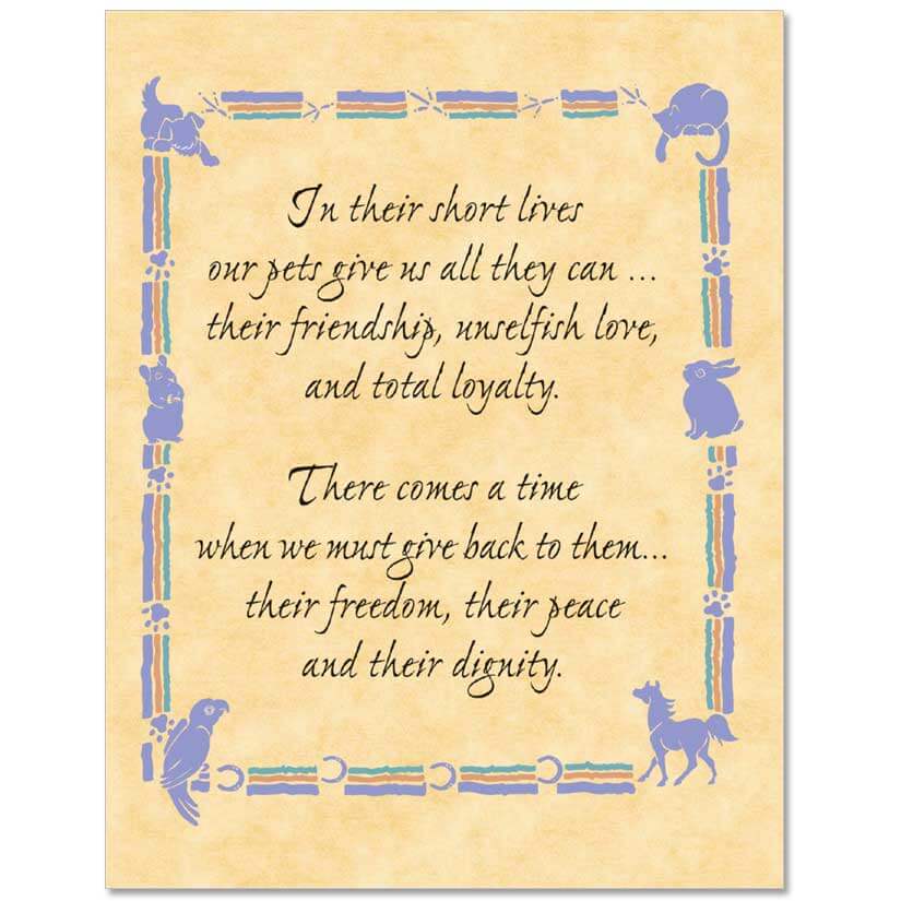 dog sympathy card messages S37 Fixed-Message Pet Sympathy Card - Veterinary Wisdom