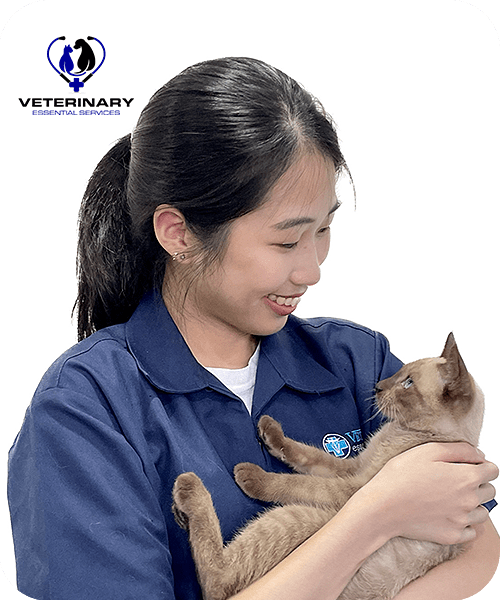 About Vet Essential Comprehensive Veterinary Care and Surgery