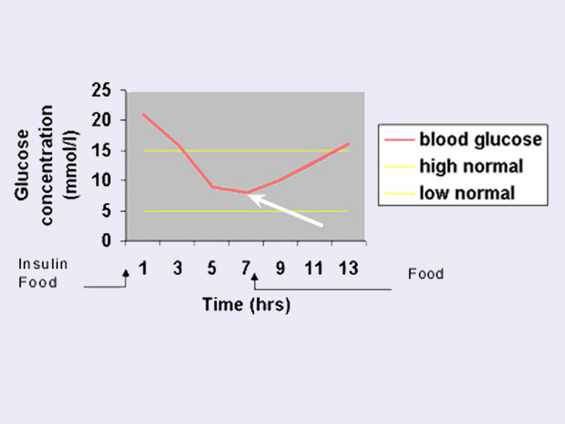 Blood glucose curve 04 glucose nadir in Cats (Felis) Vetlexicon
