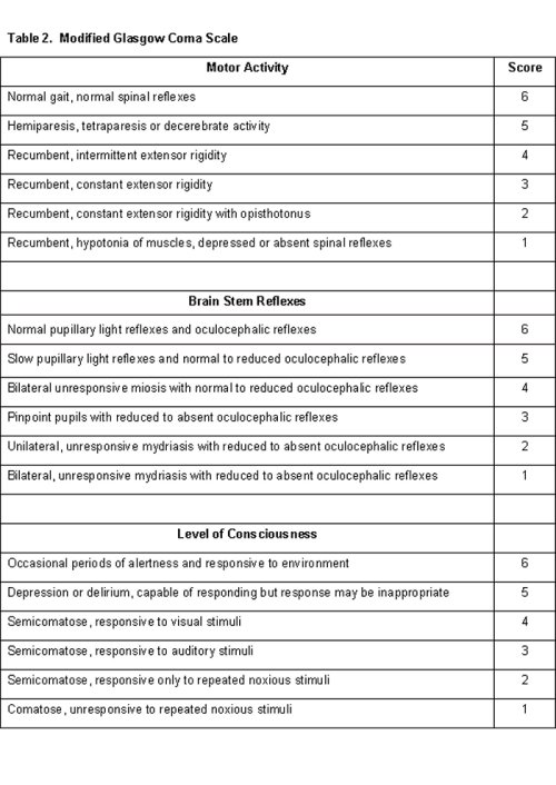 Head trauma Modified Glasgow coma scale in Cats (Felis) Vetlexicon