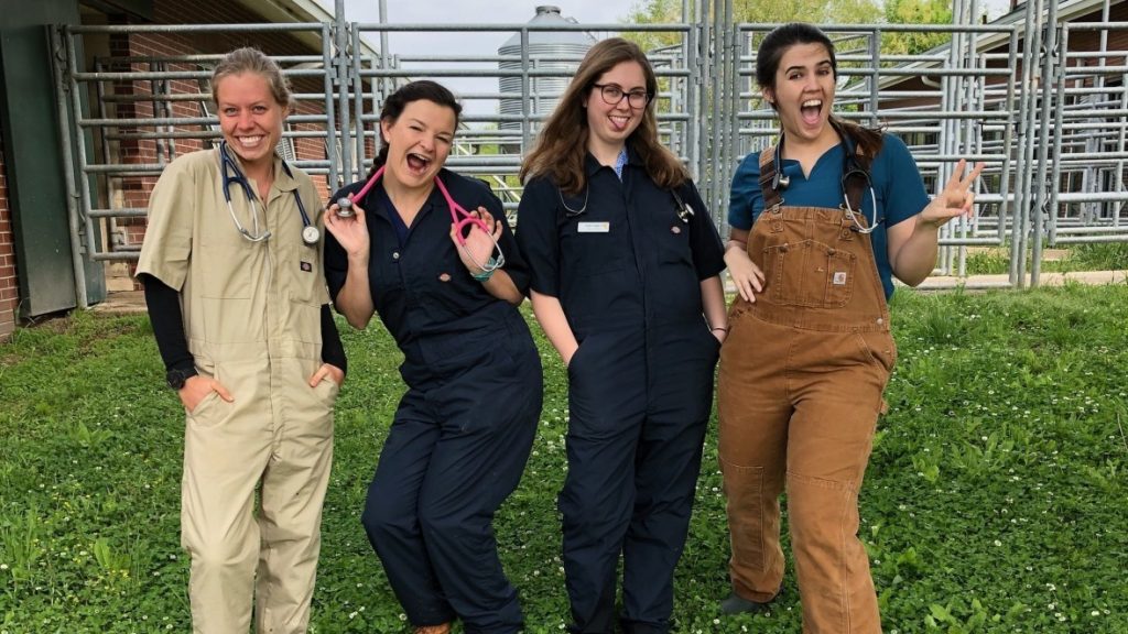 5 Auburn University College of Veterinary MedicineAuburn University