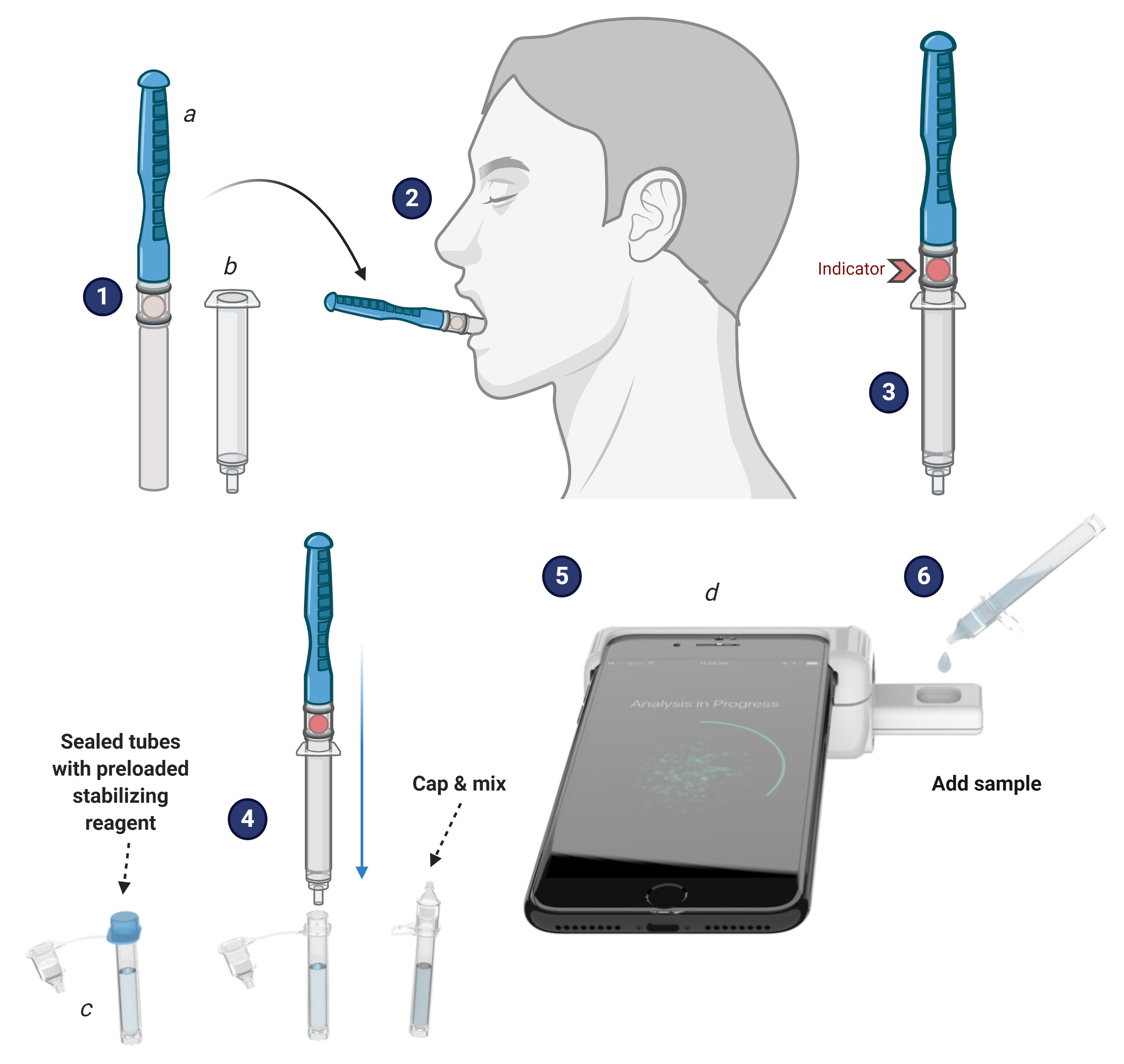 Smartphonebased saliva test that can detect COVID19 earns UF