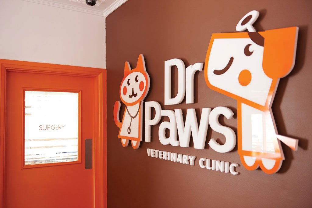 DrPawsClinic Vet Practice Magazine