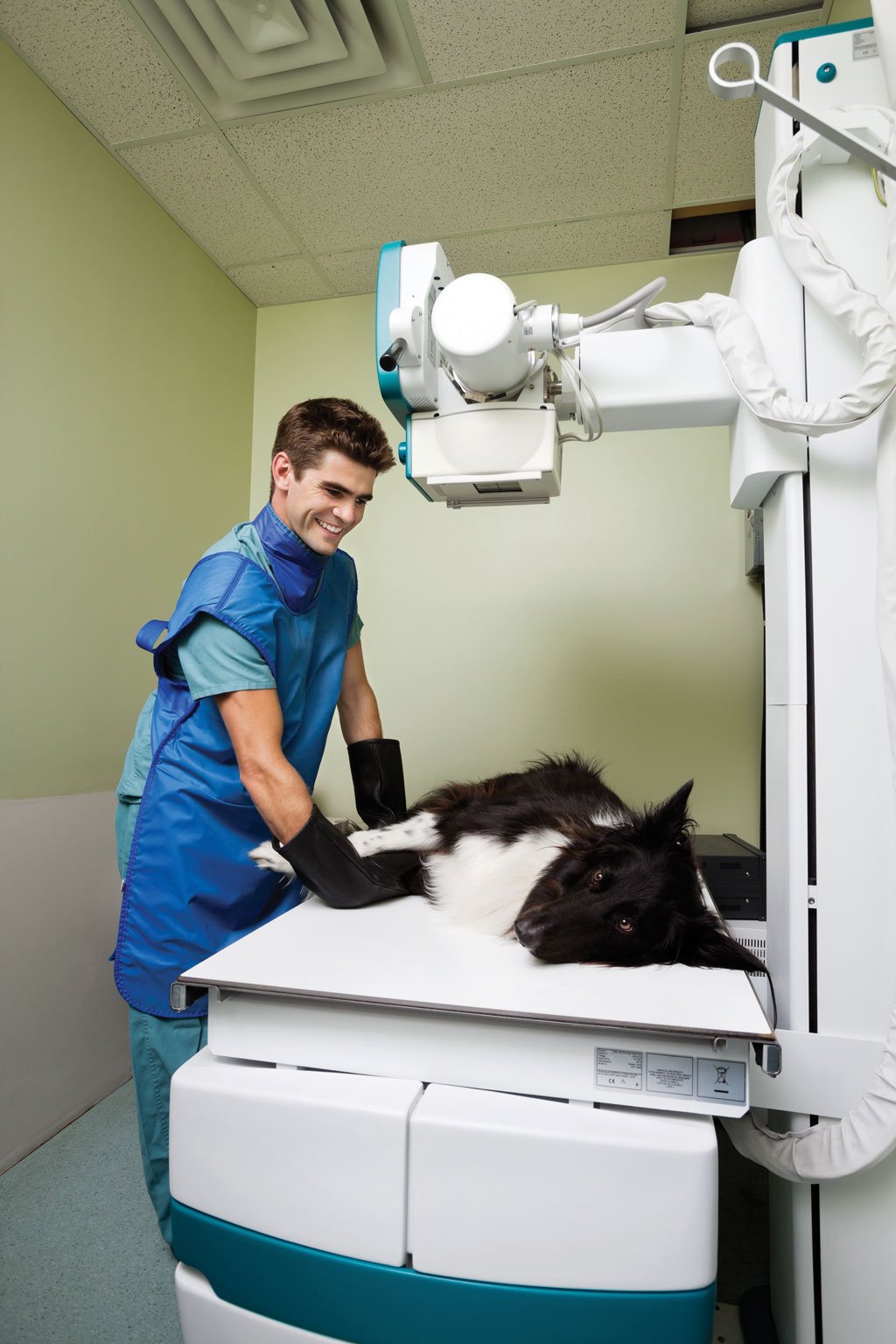 vet_with_x_ray_machine Vet Practice Magazine