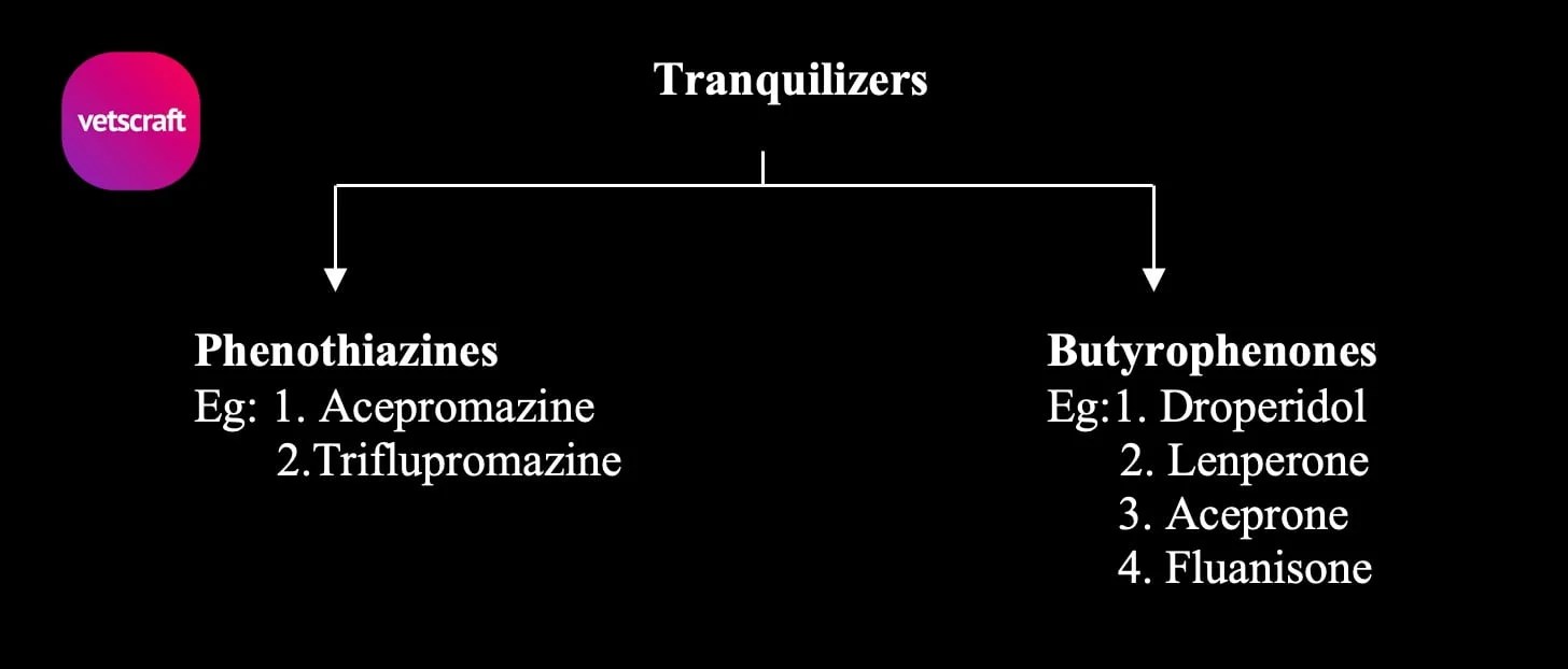 Tranquilizers Tranquility and Calmness Vet. Anaesthesiology