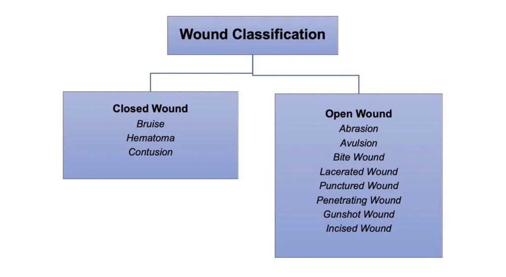 Wound and types of wound Different Open and Closed Wounds