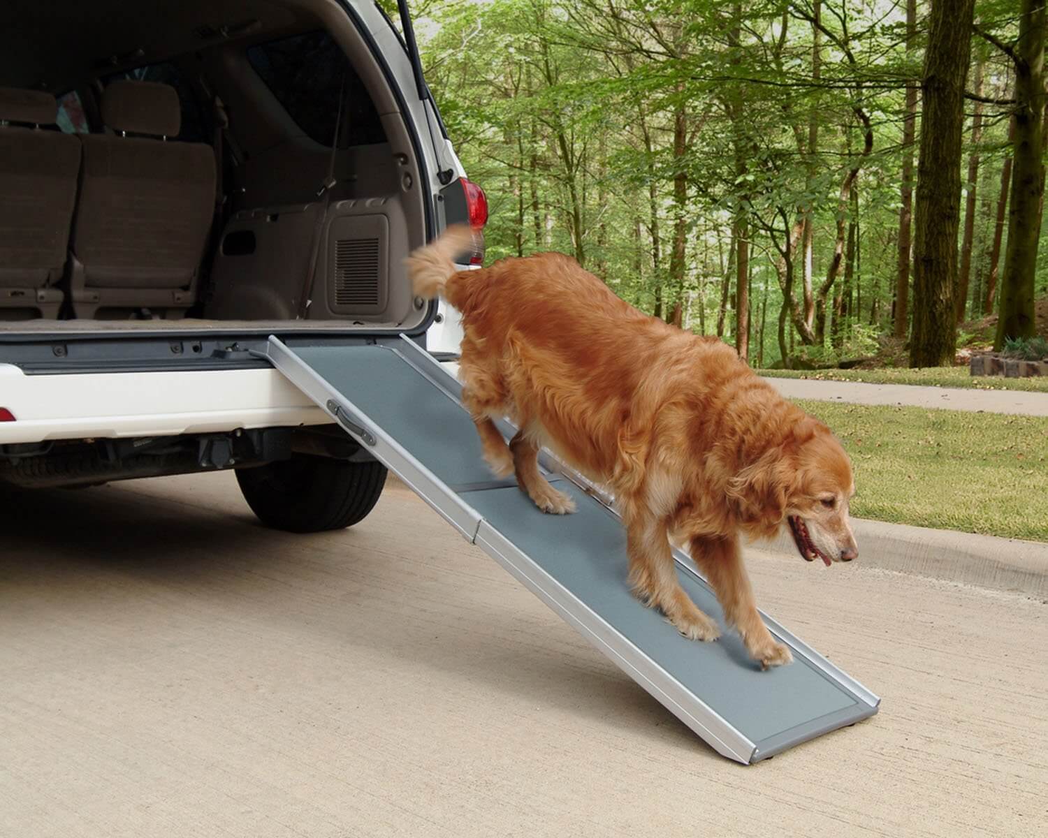 5 Best Dog Ramps for Cars/SUVs/Trucks 2019