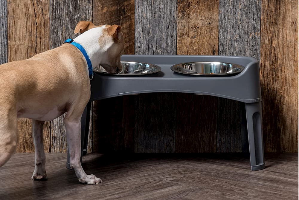 9 Best Elevated Dog Bowls for Large Dogs Vetstreet Vetstreet