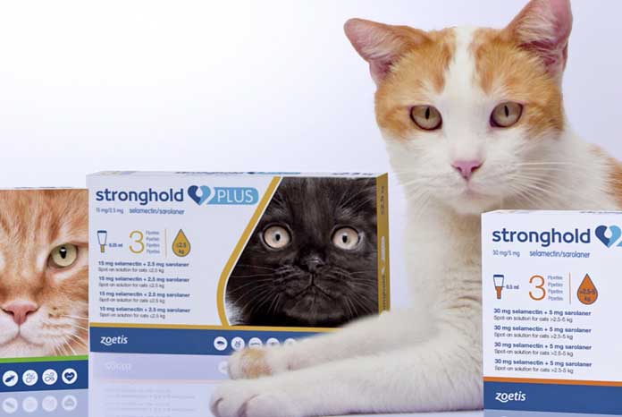 Zoetis launches Stronghold Plus spoton for cats VetSurgeon News